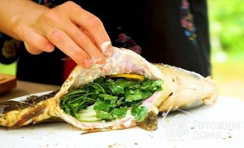 Карп в духовке с лимоном. Карп запеченный с лимоном, луком и зеленью