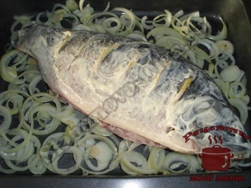 Карп в духовке с овощами и картошкой. Запеченный карп с картошкой