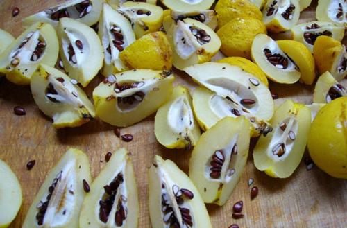 Айва японская рецепты на зиму с сахаром. Айва японская в сиропе