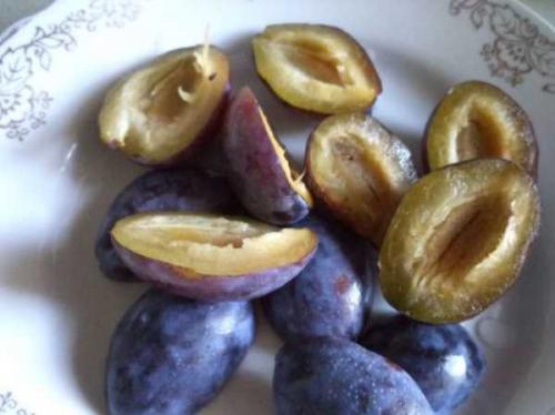 Консервированная слива в сиропе рецепты на зиму. Консервированные сливы на зиму - 6 рецептов