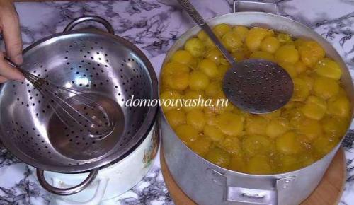 Соус из желтых слив на зиму к мясу очень вкусный. Рецепты соусов из слив