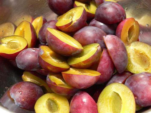 Сливовый соус к мясу название. Рецепт сливового соуса к мясу: грузинская и китайская тема