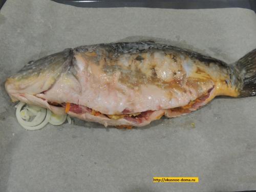 Карп в духовке с морковью и луком. Карп фаршированный целиком морковью, луком и приготовленный в духовке