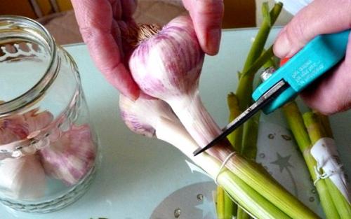 Рецепт как мариновать чеснок в домашних условиях