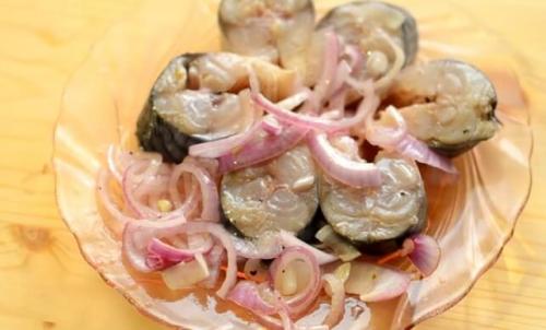 Как быстро и вкусно посолить скумбрию в домашних условиях вкусно. Как засолить скумбрию вкусно и быстро за 2 часа: в маринаде быстрого приготовления