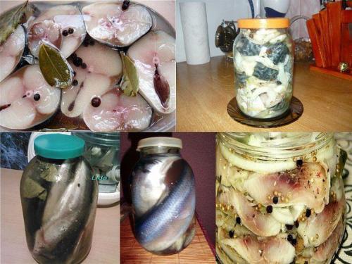 Как засолить свежемороженую скумбрию быстро и вкусно. СКУМБРИЯ СОЛЁНАЯ ИЗ МОРОЗИЛЬНОЙ КАМЕРЫ