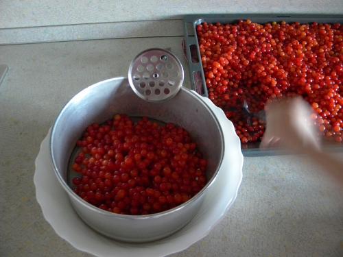 Калина с сахаром в блендере. Калина протертая с сахаром. Мой фирменный рецепт.