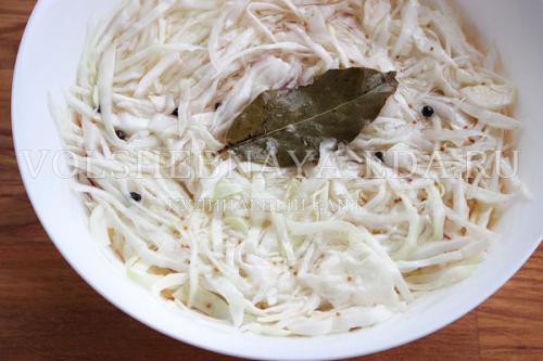 Провансальская капуста рецепт. Ингредиенты