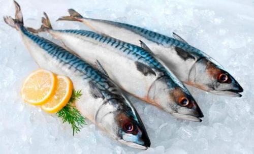 Посол скумбрии целиком сухим способом в домашних условиях. Сухой посол скумбрии в домашних условиях