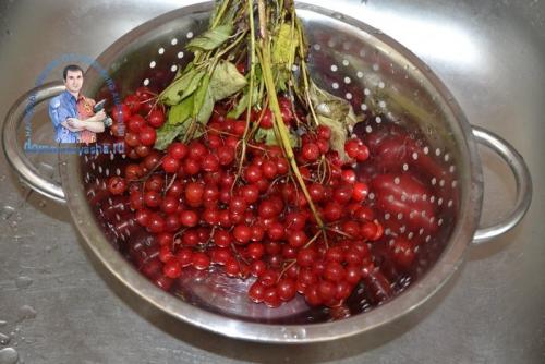 Калина протертая с сахаром на зиму без косточек. Калина протертая с сахаром на зиму — рецепт проверенный годами