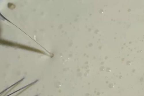 Ажурные блинчики на кефире. Вкусные ажурные блины на кефире с кипятком