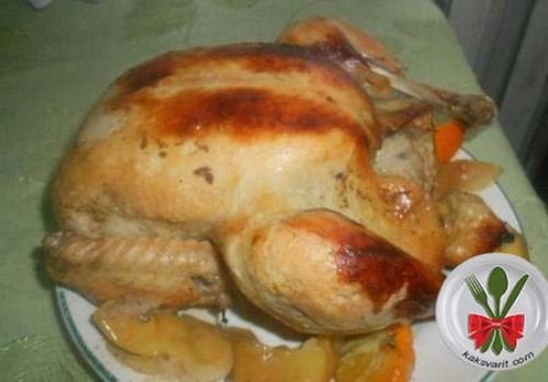 Курица в рукаве с яблоками и апельсинами. Курица в духовке целиком