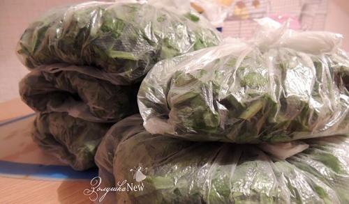 Можно ли заморозить щавель на зиму и как. Самый лучший способ заготовки щавеля на зиму