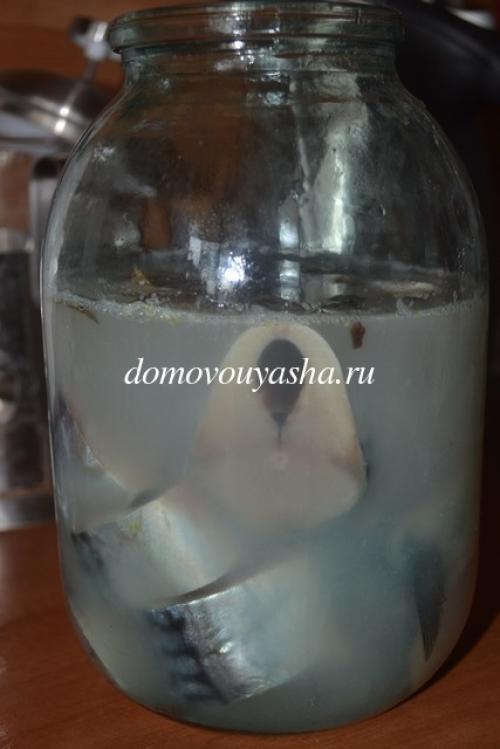 Рецепт скумбрии пряного посола с луком. Рецепт скумбрии пряного посола. Вкусная слабосоленая скумбрия