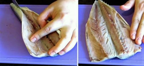 Как посолить скумбрию в домашних условиях вкусно и быстро без рассола. Как вкусно и быстро засолить рыбу в морозилке без рассола в домашних условиях?