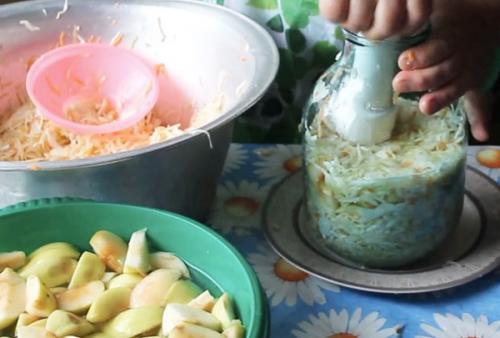 Как быстро сделать квашеную капусту в банке. Вкусная квашеная капуста быстрого приготовления