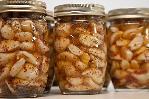 Рецепты маринованного чеснока головками, как на рынке. Маринованный чеснок как на рынке: рецепт. Быстро, вкусно, просто