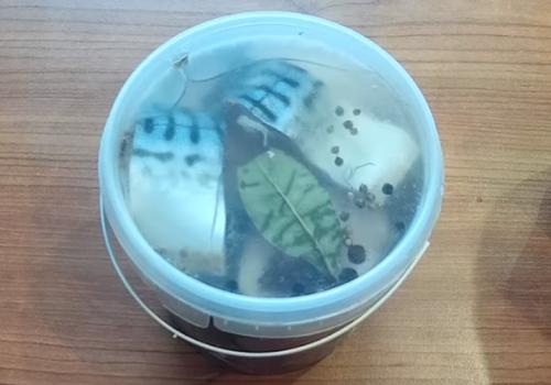 Как засолить скумбрию в рассоле. Скумбрия пряного посола за сутки