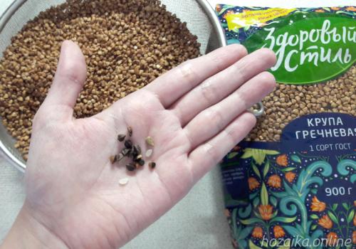 Гречка по-купечески с говядиной и грибами. Гречка по-купечески в мультиварке