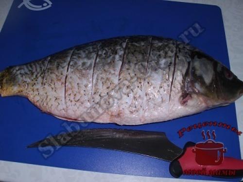 Карп в духовке с овощами и картошкой. Запеченный карп с картошкой