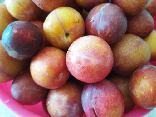 Соусы из сливы на зиму рецепты к мясу в домашних условиях. Простой рецепт сливового соуса