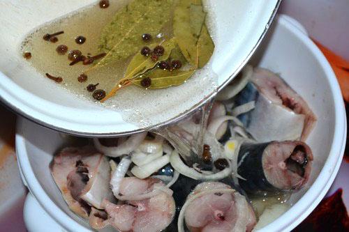 Как засолить скумбрию в домашних условиях вкусно в рассоле и быстро. Рецепт 1: как посолить скумбрию в рассоле (пошаговые фото)