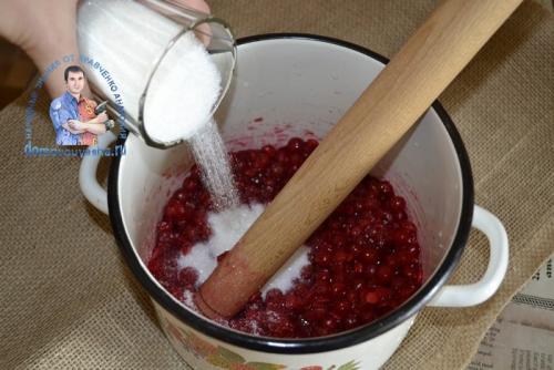 Калина протертая с сахаром на зиму без косточек. Калина протертая с сахаром на зиму — рецепт проверенный годами