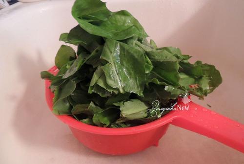 Можно ли заморозить щавель на зиму и как. Самый лучший способ заготовки щавеля на зиму