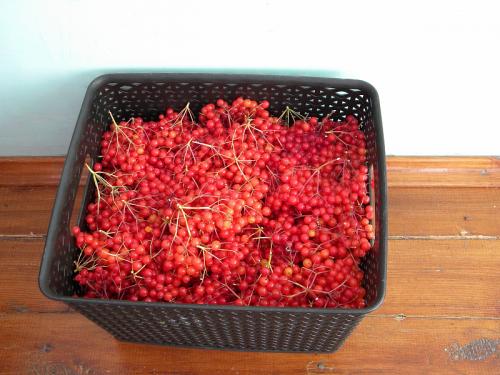 Калина с сахаром в блендере. Калина протертая с сахаром. Мой фирменный рецепт.