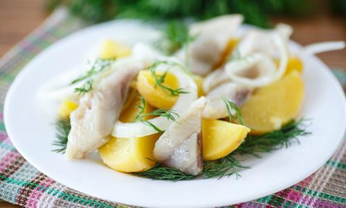 Рецепт, как вкусно посолить скумбрию в домашних условиях вкусно и быстро. Скумбрия солёная в домашних условиях