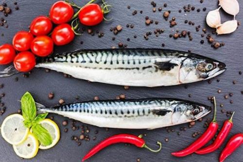 Сухой посол скумбрии для копчения. Засолка скумбрии для холодного копчения