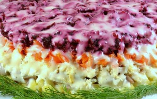 Селедка под шубой из семги. Селедка под шубой с семгой