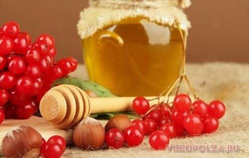 Калина протертая с сахаром полезные свойства. Калина с медом: полезные свойства