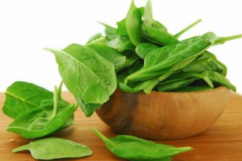 Можно ли заморозить щавель на зиму в морозильной камере. Выбор и подготовка зелени к замораживанию