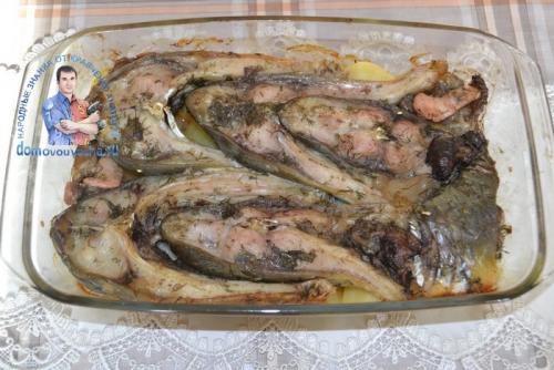 Карп в духовке с картошкой и луком. Карп запеченный в духовке с картошкой. Рецепт с фото кусочками