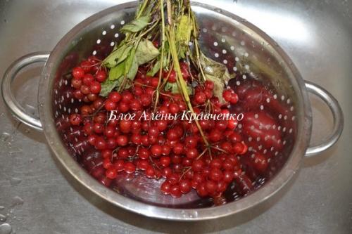 Протертая Калина с сахаром на зиму без варки. Калина с сахаром без варки. Рецепт с фото.