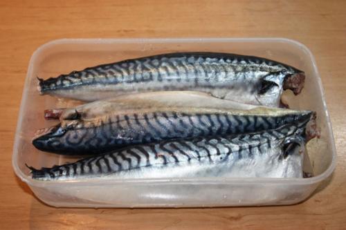 Как засолить скумбрию в домашних условиях вкусно в рассоле и быстро. Рецепт 1: как посолить скумбрию в рассоле (пошаговые фото)
