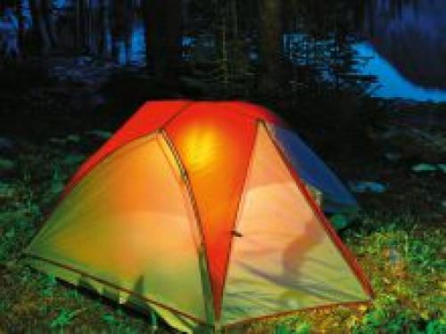 Баклажаны в сметане в духовке. Баклажаны в сметане