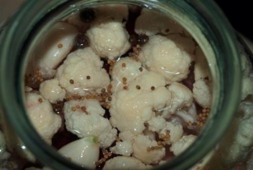 Квасить капусту в банке рецепт на зиму. Как правильно квасить цветную капусту со свеклой и чесноком на зиму