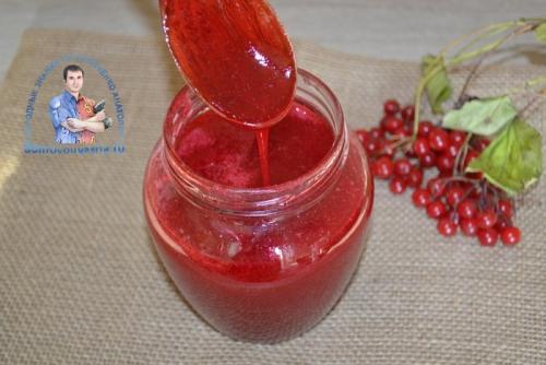 Калина протертая с сахаром на зиму без косточек. Калина протертая с сахаром на зиму — рецепт проверенный годами