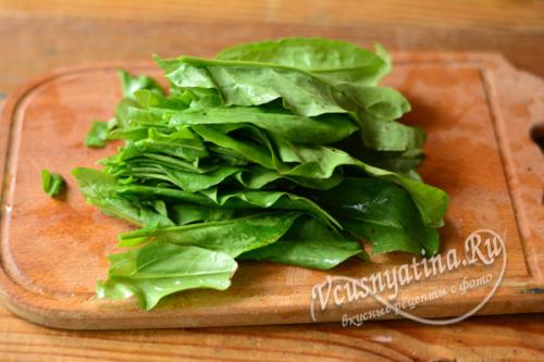 Как заготовить на зиму щавель можно ли его заморозить. Заморозка щавеля в пакетах в морозилке на зиму