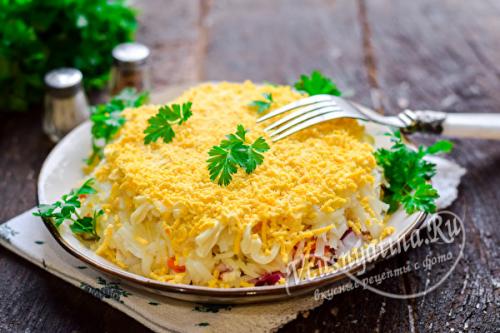 Салат Мимоза с сыром слои по порядку. Салат «Мимоза» с правильной очередностью слоев