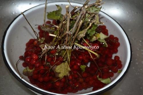 Протертая Калина с сахаром на зиму без варки. Калина с сахаром без варки. Рецепт с фото.