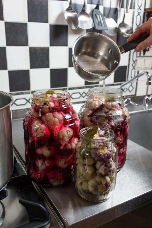 Как замариновать чеснок, чтобы он был хрустящим. Маринованный чеснок