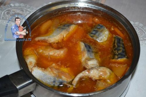 Скумбрия в томатном соусе с овощами — рецепт с фото