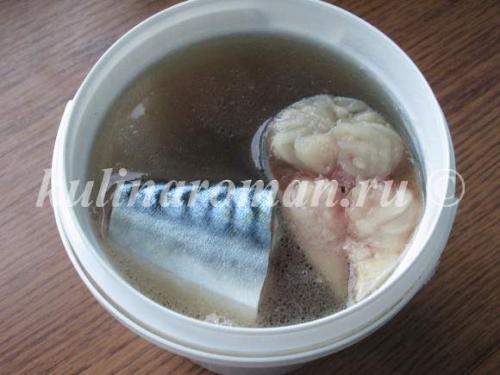 Скумбрия пряного посола в рассоле в домашних условиях очень вкусная. Ингредиенты: