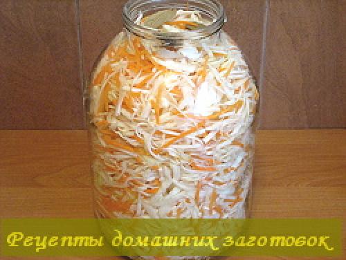 Капуста квашеная быстрого приготовления в рассоле с уксусом и маслом и морковью. Квашеная капуста в рассоле с уксусом