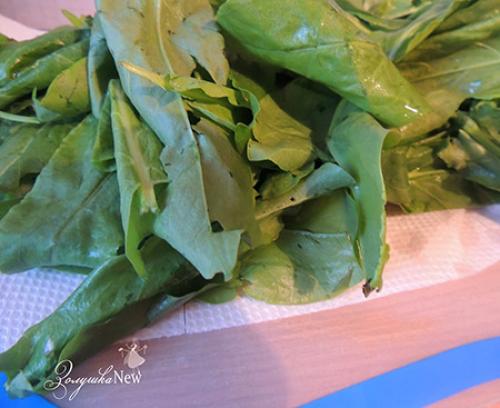 Можно ли заморозить щавель на зиму и как. Самый лучший способ заготовки щавеля на зиму