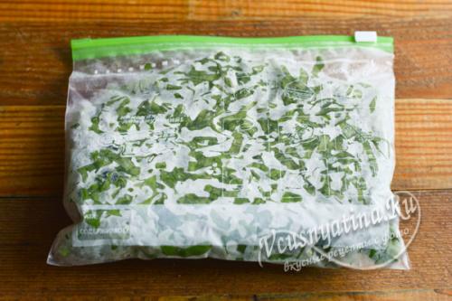 Как заготовить на зиму щавель можно ли его заморозить. Заморозка щавеля в пакетах в морозилке на зиму