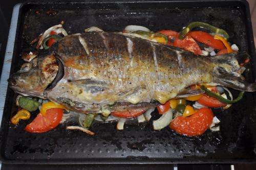 Карп запеченный в духовке рецепт с овощами. Что это за рыба такая и с чем едят?